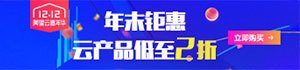 进行漏洞分析